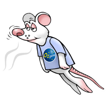 aroma mouse